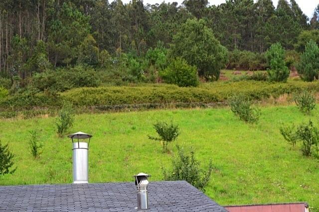 Apartamentos Rurales Casa Ron Coana Esterno foto